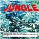 Jumping Jack Frost + Randall - Mixmag Live Volume 15 - Jungle